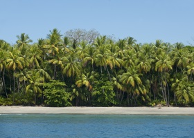 Isla Parida, Panama