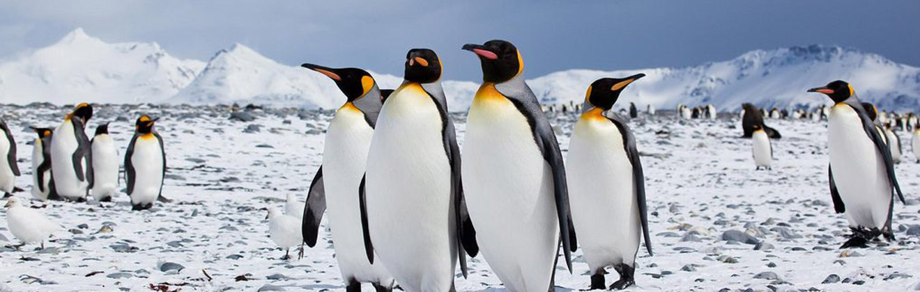 22-NIGHT SOUTH AMERICA & ANTARCTICA 22-NIGHT SOUTH AMERICA & ANTARCTICA
