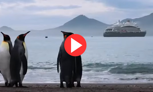 Antarctica The Ponant Way