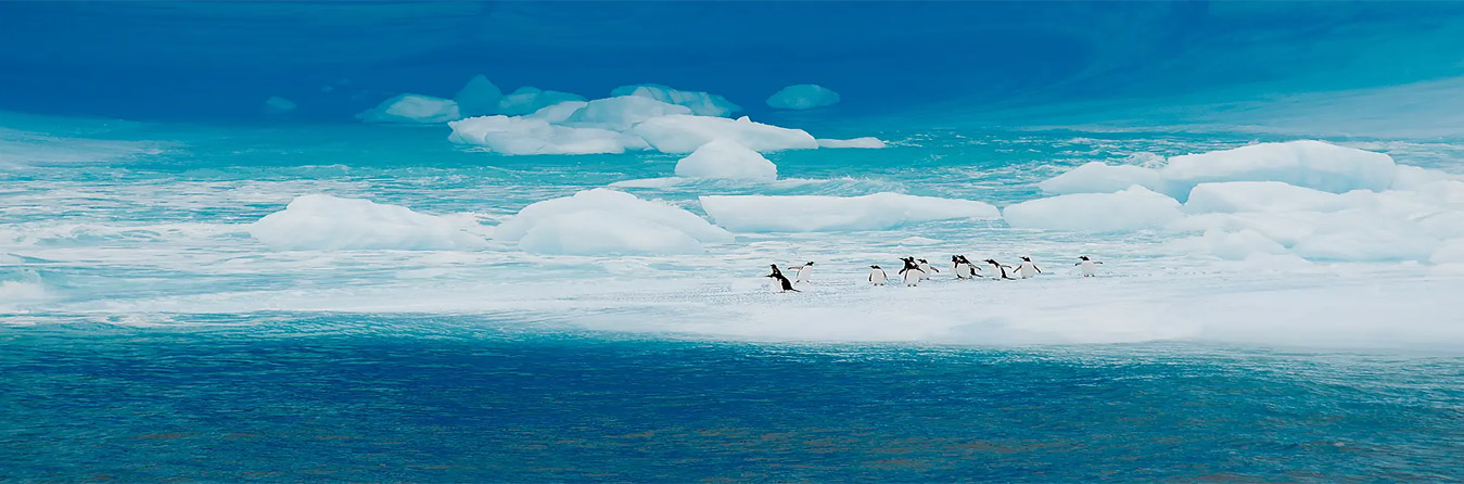 Antarctica - Ponant Cruises Antarctica - Ponant Cruises