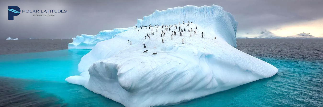 Antarctica - Polar Latitudes