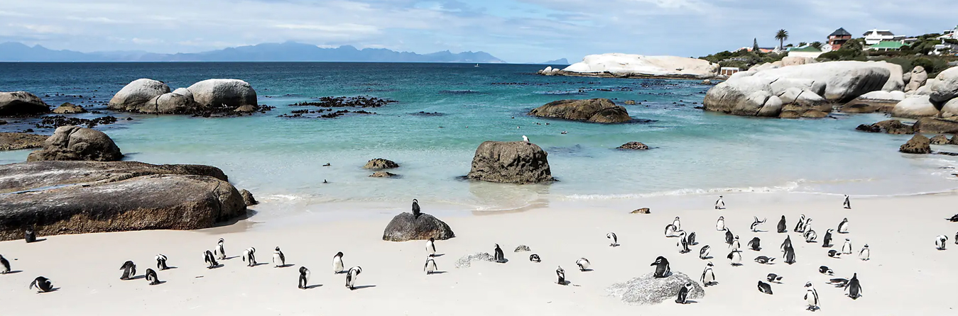 Southern Africa - Ponant Cruises Southern Africa - Ponant Cruises