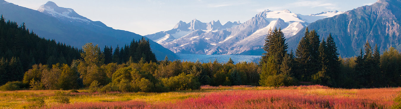 Alaska Cruise Tours