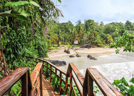 A Tropical Odyssey in Central America