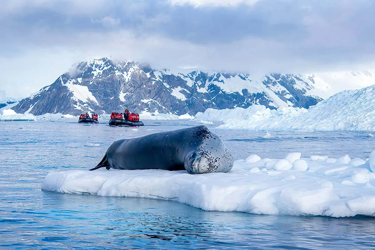 Antarctic Peninsula: An Explorer's Expedition