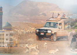 Iconic Arabia - 7 Nights