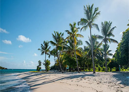 History and culture visiting Caribbean jewels
