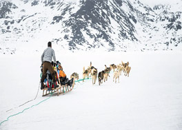Inuit Spring of Ammassalik
