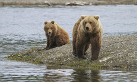 11 Days - Islands & Inlets of the Inside Passage [Vancouver to Vancouver]