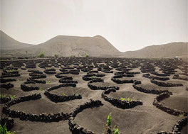 The Canaries, lands of contrast
