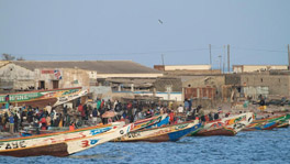 8 Days - West Africa River Cruise X Explorers Club [Dakar to Dakar]