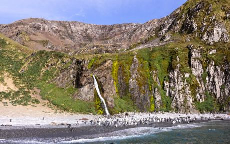 Wild Isles of the South Atlantic