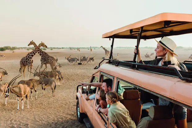 Iconic Arabia from Dubai - 7 Nights