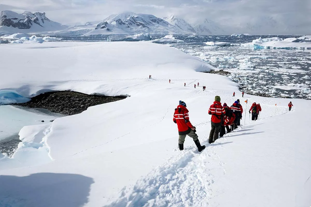 Celebrating Antarctica