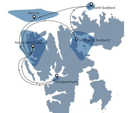 Svalbard - Last stop before the North Pole