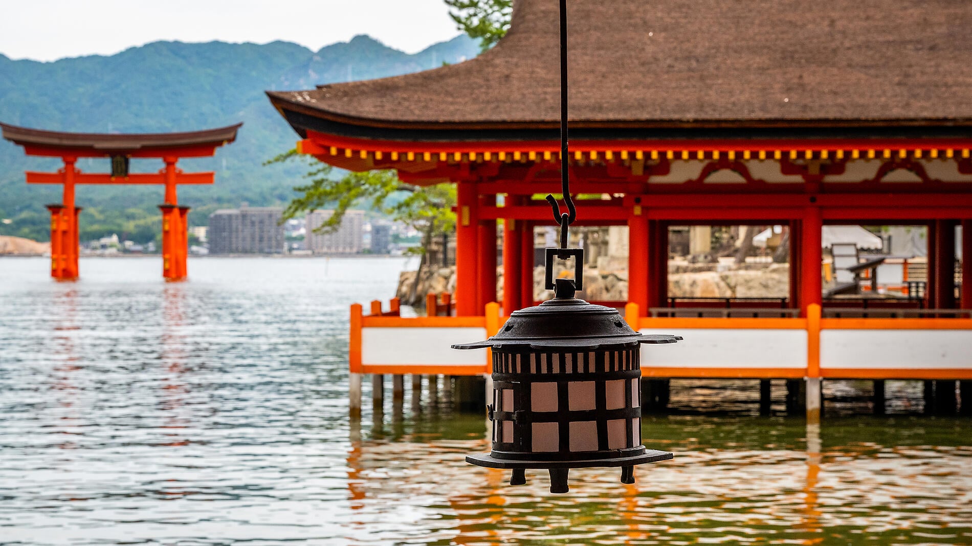 Authentic Japan [Tokyo to Busan]