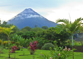 Arenal Option A or B Arenal Option A or B