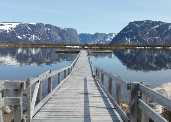 Bonne Bay / Woody Point, Newfoundland, Canada