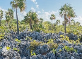 Cayman Brac, Cayman Islands