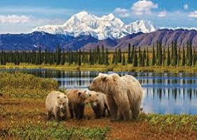 Denali National Park