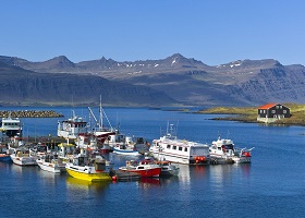 Scenic cruising Berufjordur / Djupivogur, Iceland