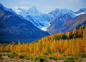 Haines, Alaska, US / Cruising Lynn Canal