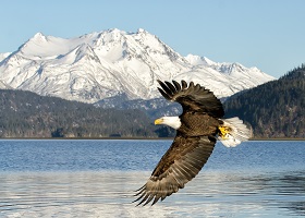 Homer, Alaska, US