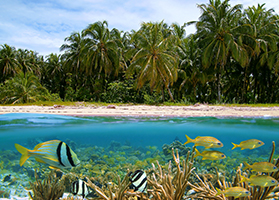 Playas del Coco, Costa Rica