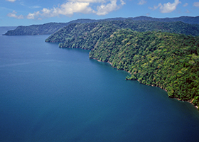 Golfito, Costa Rica / Puerto Jimenez (Golfo Dulce), Costa Rica