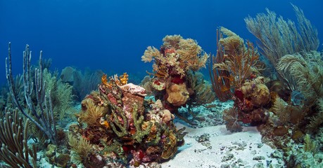 Roatan, Honduras