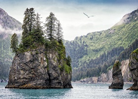 Scenic Cruising Kenai Fjords National Park, Alaska Scenic Cruising Kenai Fjords National Park, Alaska