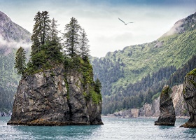 Scenic Cruising Kenai Fjords National Park, Alaska