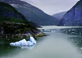 Scenic Cruising Tracy Arm / Endicott Arm, Alaska