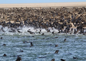 Walvis Bay, Namibia