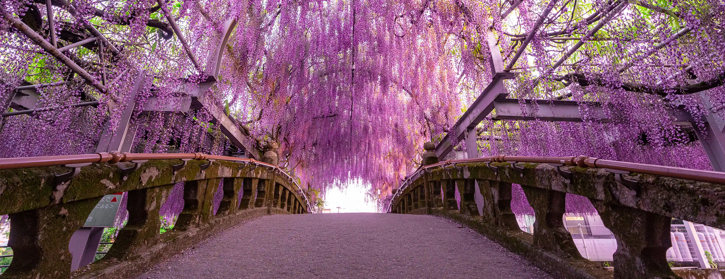 Fukuoka (Hakata), Japan
