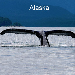 Alaska