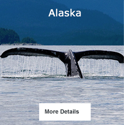 Alaska