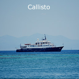 Callisto