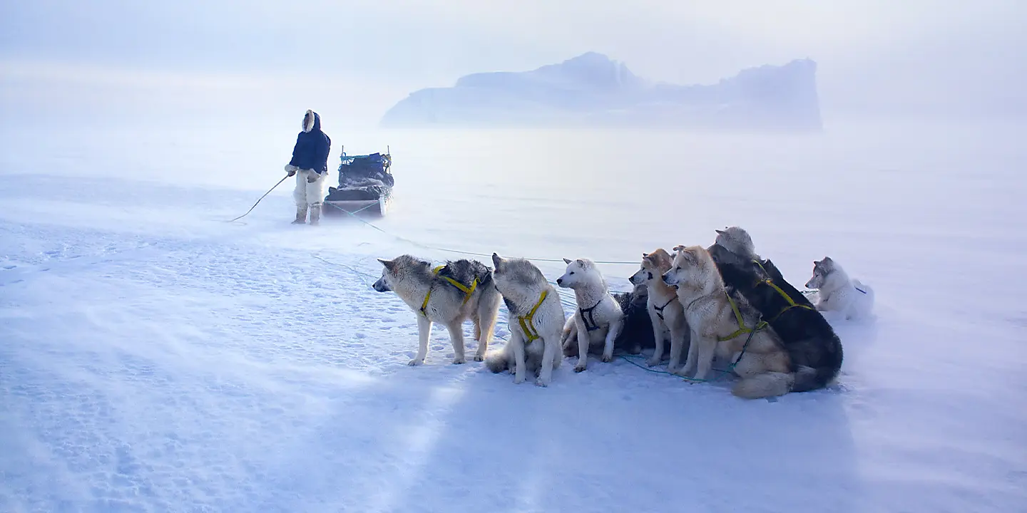 The Arctic